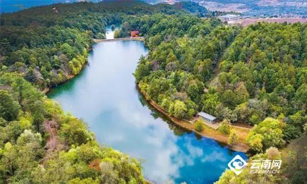 春节出游,全是干货丨云南16州市景区优惠暨文旅活动速看→