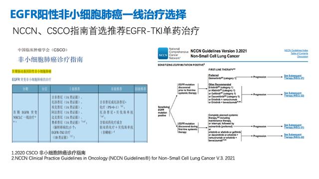 PPT檔案館｜一例國產三代TKI伏美替尼治療晚期肺腺癌的病例分享與思考