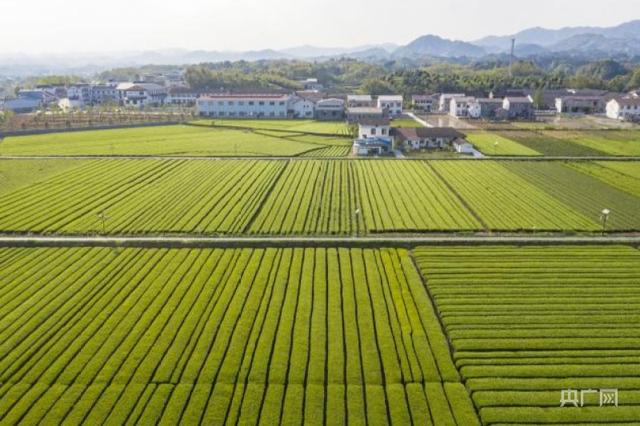 矿用机车电池箱模块