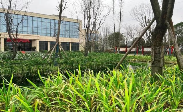贵阳小型洗砂机批发