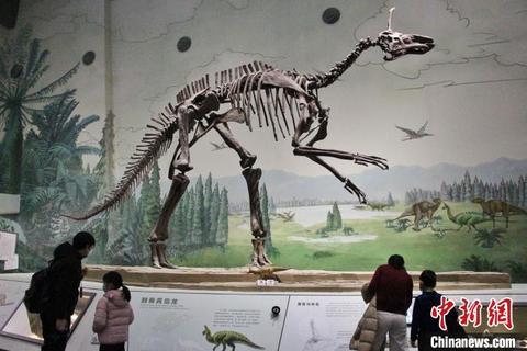 山东第一场机械展