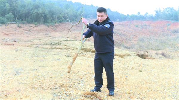 湘潭制砂机批发