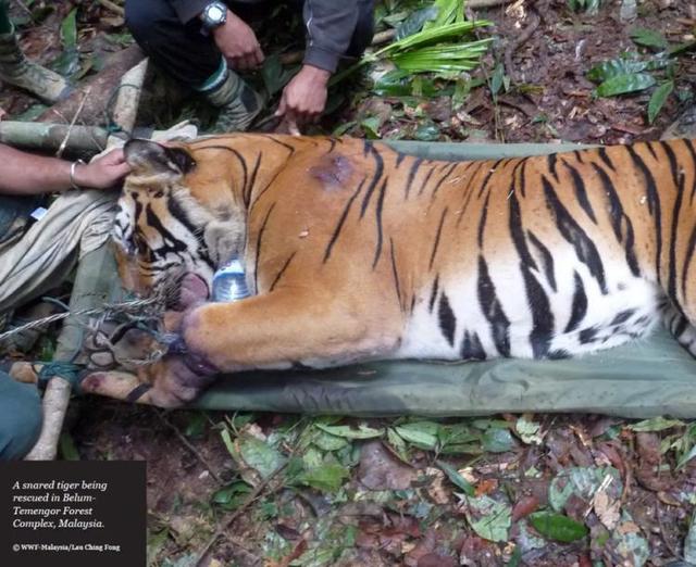 云南易銮领展工程公司