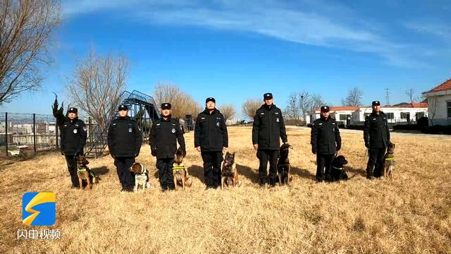 警犬来了