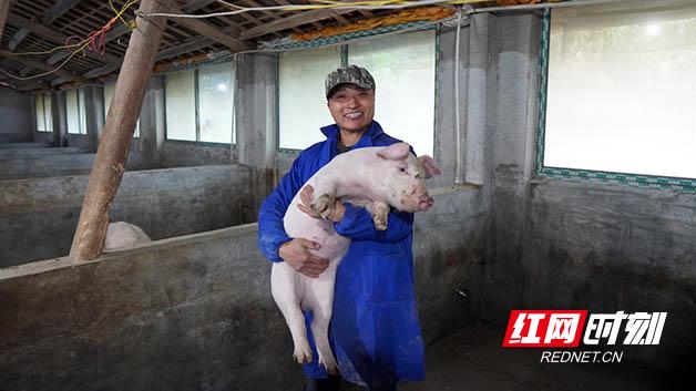 农村创业的好项目养殖猪
