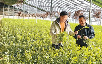 湖南不锈钢过滤机回收_带式过滤机和压滤机