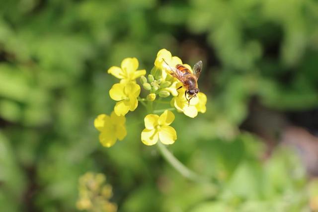 七夜欢宠小说全文阅读(七夜欢宠小说免费阅读全文)