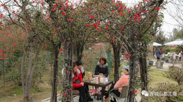 成都适合团建聚餐的地方 成都适合团建聚餐的地方