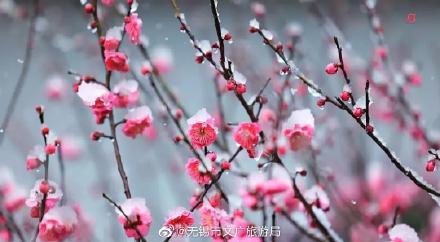 无锡洗砂机参数