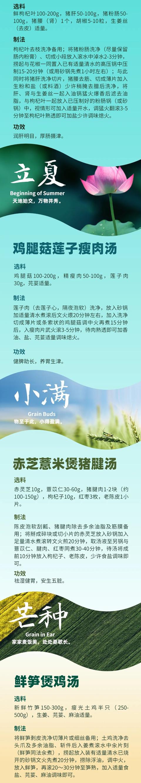 一“墩”难求,但一“汤”好求,快收藏24节气养生汤