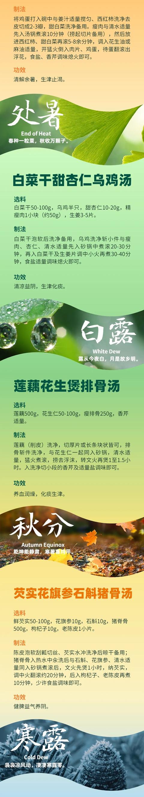一“墩”难求,但一“汤”好求,快收藏24节气养生汤