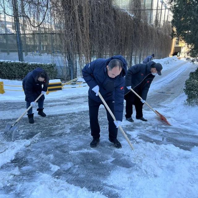 综管中心全力做好海淀中心大院扫雪铲冰工作 新闻时间