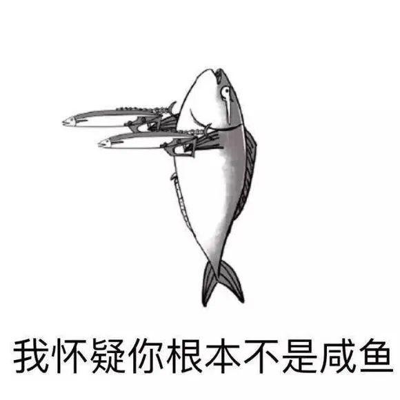 金鱼的记忆 金鱼的记忆