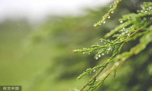 夜读 | 雨水：好雨知时节9