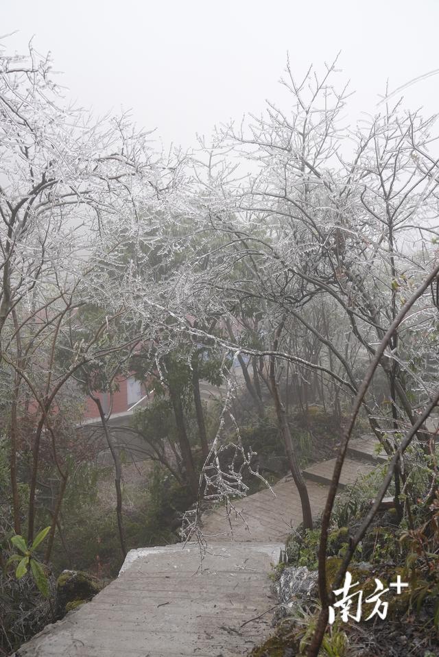 连州历史上下雪（清远连州什么时候下雪）