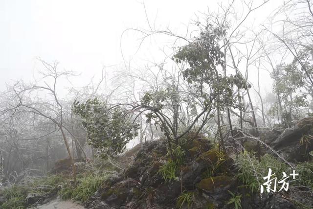 连州历史上下雪（清远连州什么时候下雪）