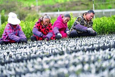 安徽新型破碎机批发
