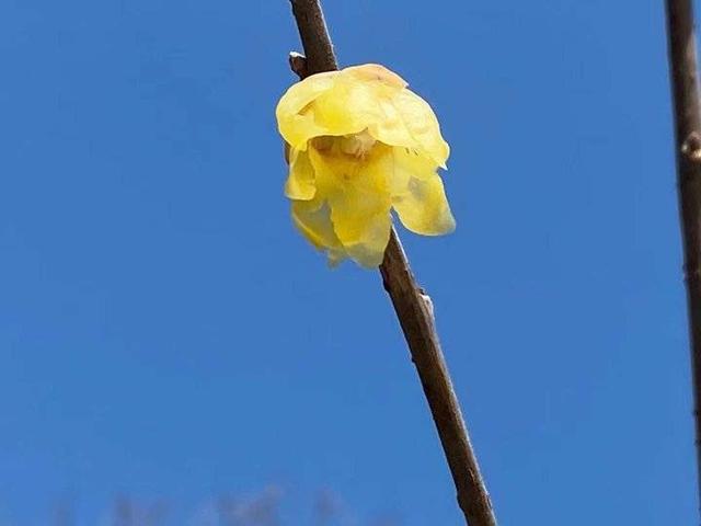春的气息……