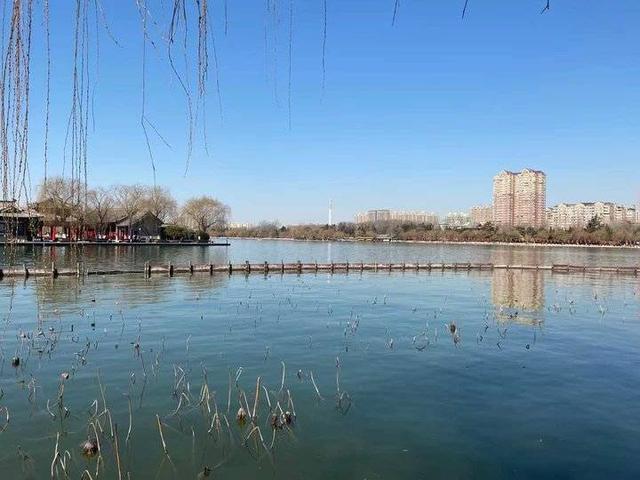 春的气息……