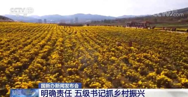 聚焦2022年乡村振兴｜明确责任 五级书记抓乡村振兴 稳扎稳打推进-第2张图片-9158手机教程网