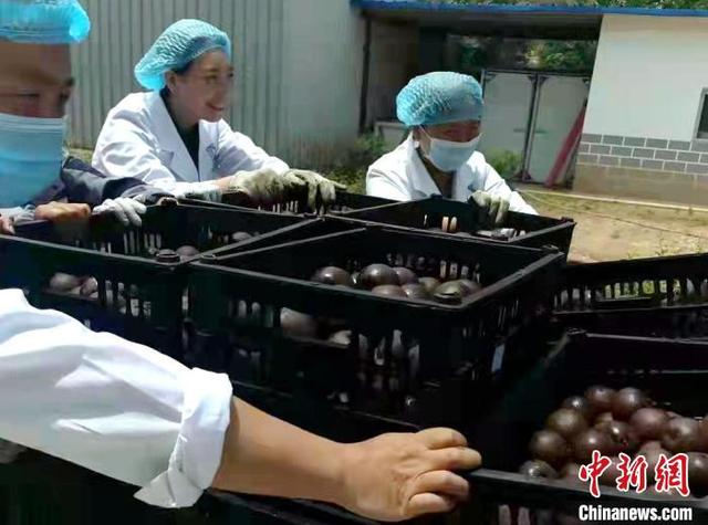 青海批发制砂机