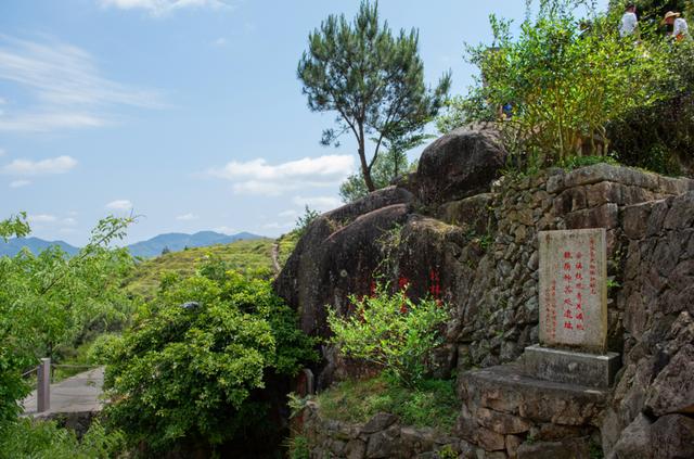 安溪印刷机械展公司