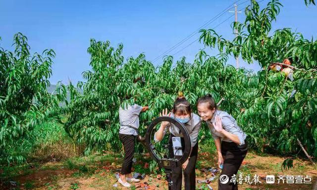 好品山东丨肥城桃提升品质找回老味道，重塑品牌擦亮老字号5