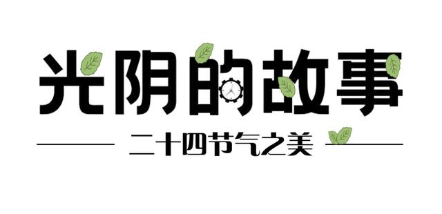 今日清明，酌杯杏花酒，与春天同行｜城市摄影队