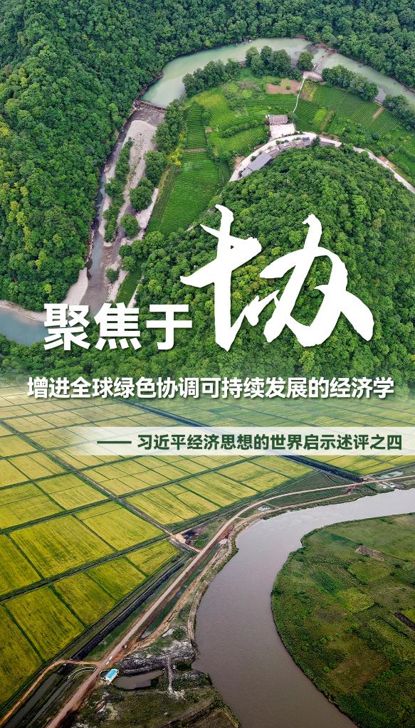 聚焦于“协”，增进全球绿色协调可持续发展的经济学——习近平经济思想的世界启示述评之四