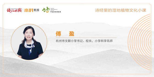 文新创展工程咨询肖
