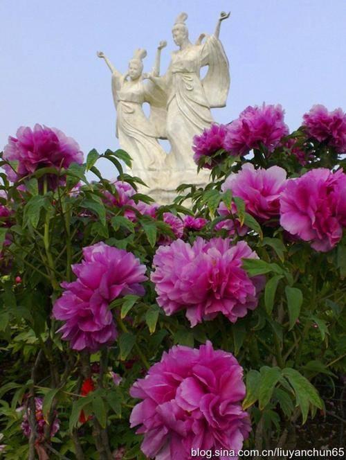 洛阳印刷机械展价钱