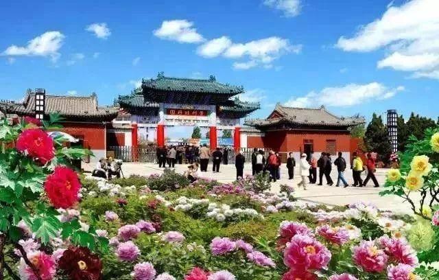 洛阳印刷机械展价钱