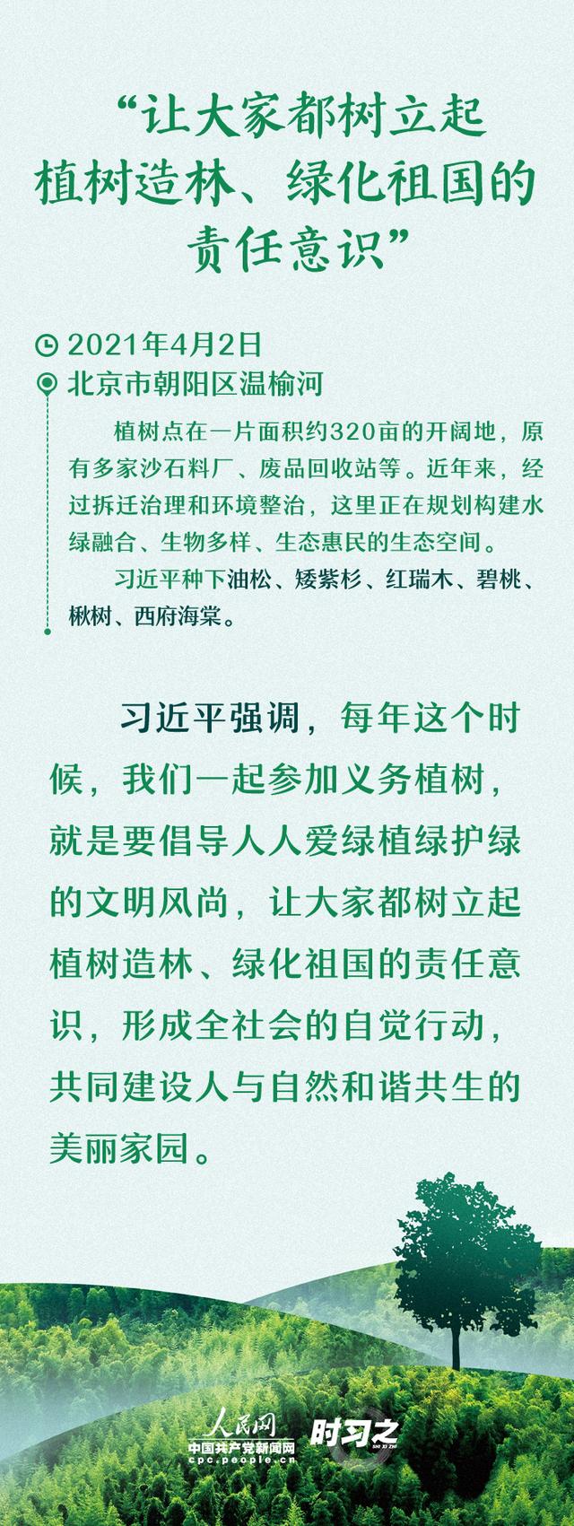 多种树 种好树 习近平厚“植”绿色期望