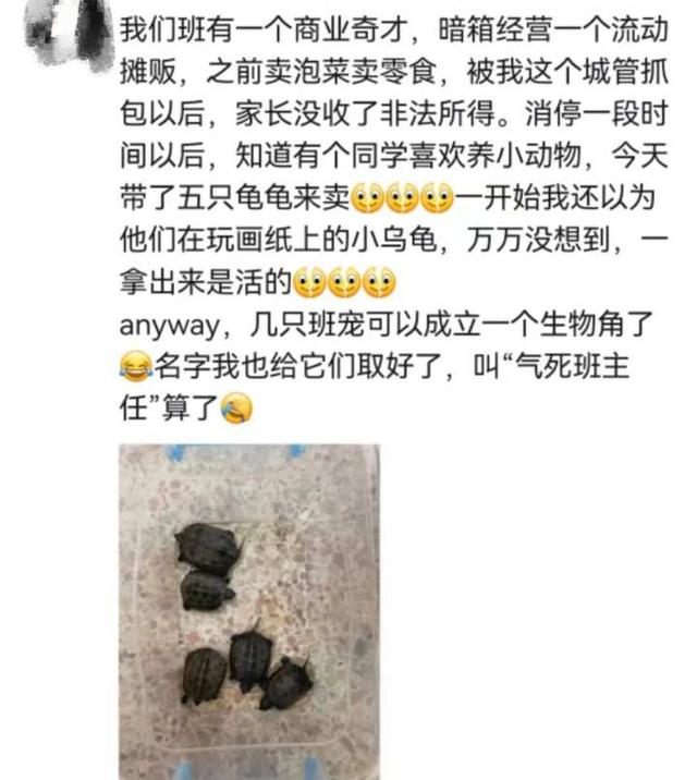 还是活的！初中生在校创业竟在卖这些！“商业奇才”让班主任想哭又想笑：我咋变城管了