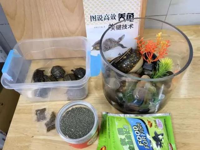 “气死”班主任！初中生在校创业竟在卖这些，还是活的……