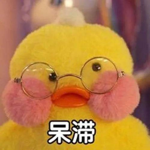 畢業生智慧團建系統
