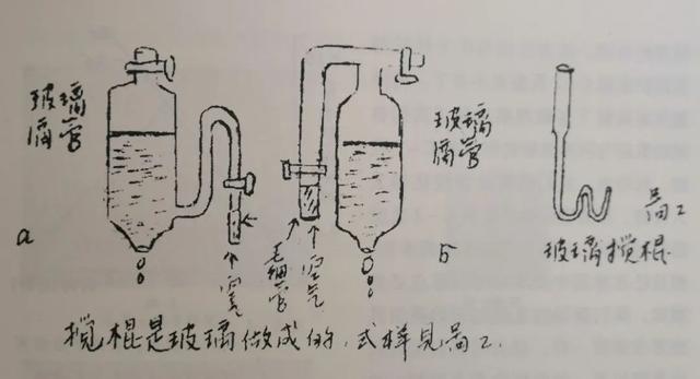 她带领几个人的团队，完成了不亚于世界第一的研究