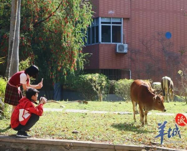 阳光动物医院