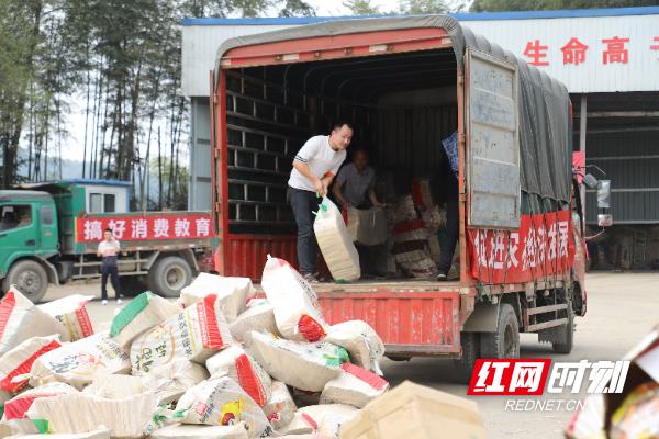 益阳综合破碎机
