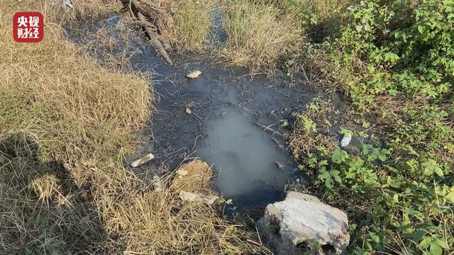 3·15晚会曝光丨禹州粉条纯“薯”造假：名特产禹州红薯粉条竟为廉价木薯制造
