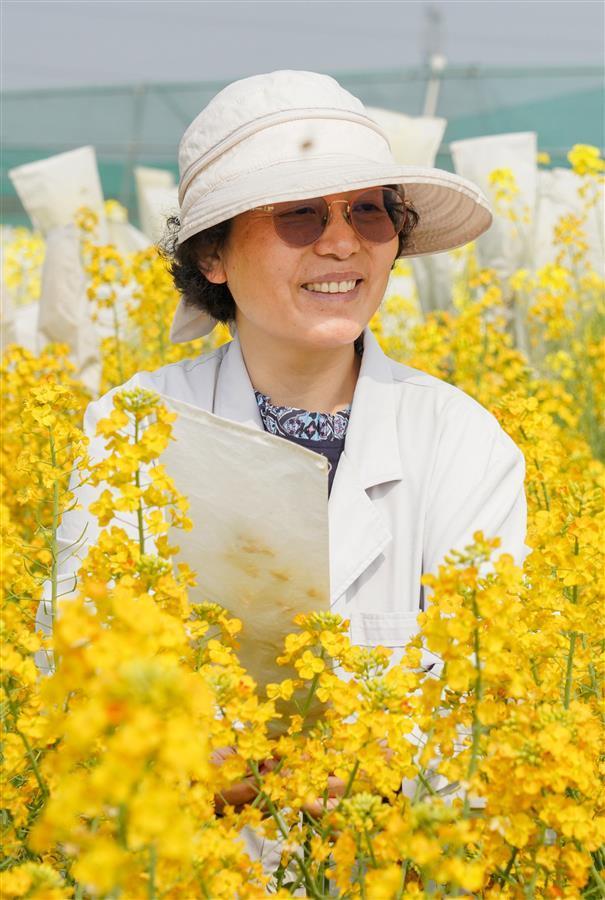 对话丨中国农科院油料所胡琼研究员：让鄂产油菜花打造别样“花经济”