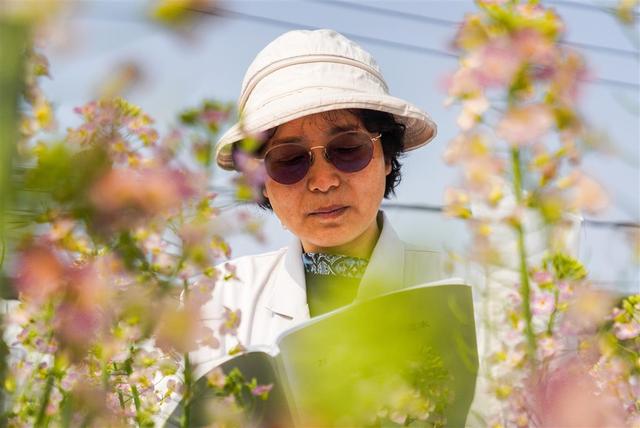 对话丨中国农科院油料所胡琼研究员：让鄂产油菜花打造别样“花经济”