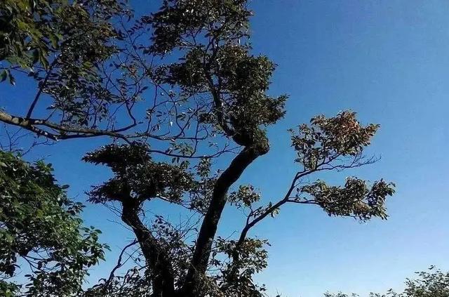 天门山在哪里