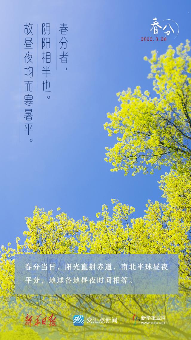 今日，春分！拥抱春天拥抱希望