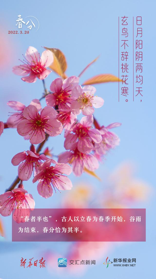 今日，春分！拥抱春天拥抱希望