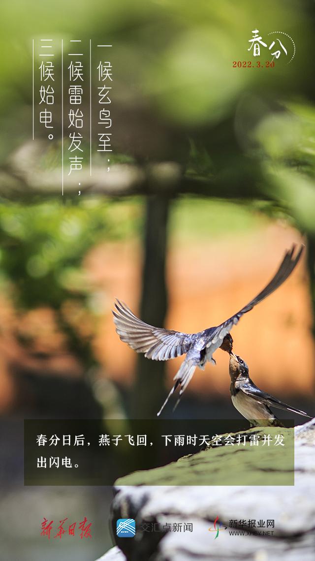 今日，春分！拥抱春天拥抱希望