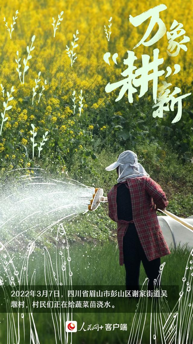 人勤春早，万象“耕”新