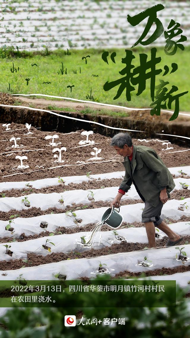 人勤春早，万象“耕”新