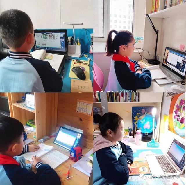 以电脑为黑板，拿鼠标作粉笔！淄博线上教学汇聚云端“抗疫力量”