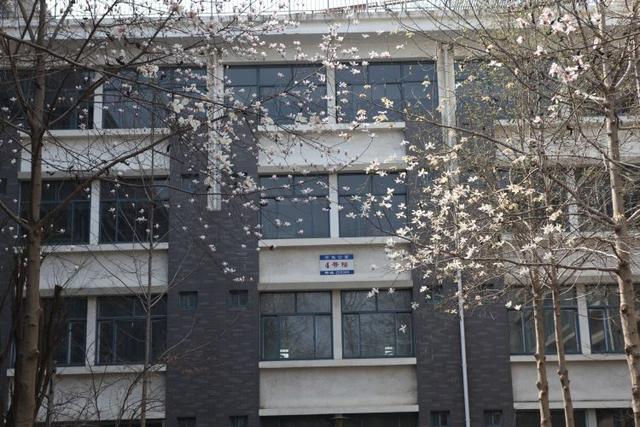 众志成城 齐心战疫｜居家学习的你想念校园吗？那里花儿都开好了 带你云赏花